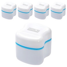 Fullicon 護立康 假牙清潔盒 收納盒 (附清潔刷), 1個, 5個