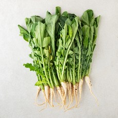 곰곰 열무, 900g, 1개, 900g