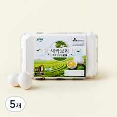 조인 새싹보리 백색 안심란 780g, 15구, 5개