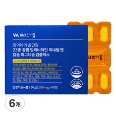 비타민마을 원어데이 올인원 23종 종합 멀티비타민 미네랄 앤 칼슘 마그네슘 컴플렉스, 6개, 60정