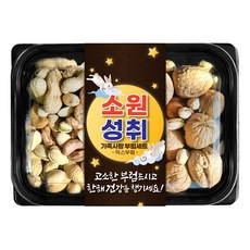 견과공장 소원성취 가족사랑 부럼 견과세트 350g, 1세트