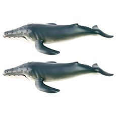 軟式海洋座頭鯨A公仔, 2個