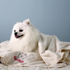 체리펫 밤부타올 2p, 혼합 색상