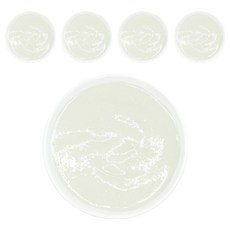 짱죽 실온이유식 초기, 160g, 5개, 양배추미음