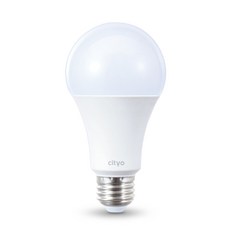 씨티오 LED 화이트 전구 20W, 전구색, 1개