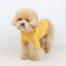 그루밍독 반려동물 무지 폴라 터틀넥 티셔츠, 머스타드, 1개