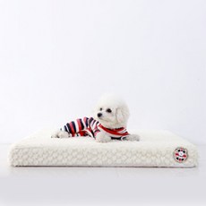 레드퍼피 반려 동물 베리어스 빵아 사각 쿠션, 아이보리, 1개