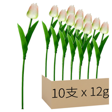 仿真鬱金香 34cm, 綠香檳, 10支