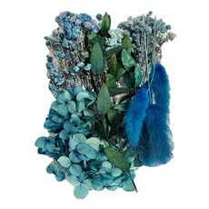 A-ONE 匯旺 乾燥花 2個, 孔雀藍天