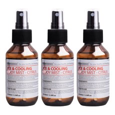 에버에센스 아이스 & 쿨링 바디미스트 시트러스, 100ml, 3개