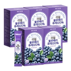 어바웃네이처 리얼 블루베리 퓨레 100% 14p, 280g, 5개