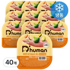 듀먼 전연령용 강아지 오리지널 화식사료, 닭+채소, 50g, 40개