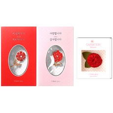 愛與感謝 康乃馨胸針2款 + 盛開康乃馨胸針與卡片組, 隨機出貨, 1套