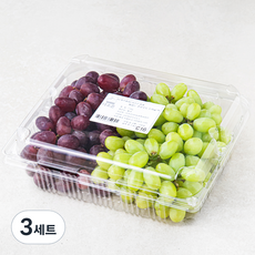 다조은 칠레산 씨없는 혼합포도, 1.5kg, 3개