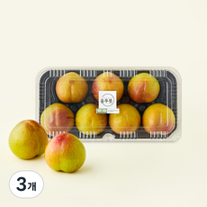 올푸릇 GAP 인증 추희 자두 7개입, 3개, 1kg