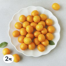 새벽경매 새콤달콤 금귤, 500g, 2팩