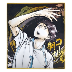 Haikyu 排球少年!! 激鬥!!閃亮色紙 及川徹, 1色, 1個