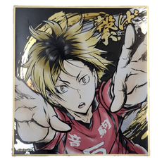 Haikyu 排球少年!! 激鬥!!閃亮色紙 孤爪研磨, 1色, 1個