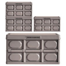 JINSIMGAMSUNG 多用途折疊收納箱, 可可棕, 4入