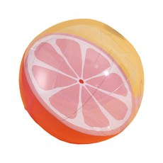 Midong Market 透明水果動物沙灘球, 35cm, 柳橙