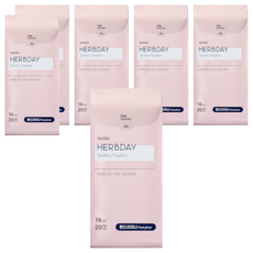 HERBDAY 潔翼型衛生棉, 20片, 6包
