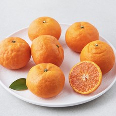 곰곰 제주 고당도 카라향, 1.2kg, 1개