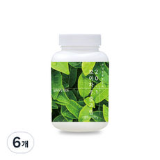 20배 고농축 보이차 추출분말, 100g, 1개입, 6개