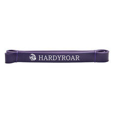 HARDYROAR 乳膠輔助帶 健身配件, 紫色 / 進階者, 1個