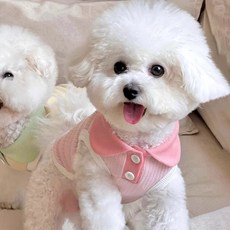 DING DONG PET 寵物棉花糖羅紋領T恤, 1個, 粉紅色