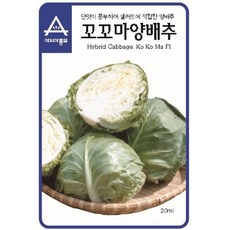 아시아종묘 씨앗 양배추 꼬꼬마 100립, 1개