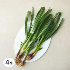 국내산 풋마늘 잎마늘, 4개, 250g