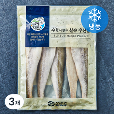누리해찬 수협 실속 코다리살 가시제거 99% (냉동), 3개, 1kg