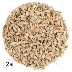 신선약초 국내산 맥아, 2개, 600g