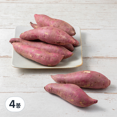 맛젤 해남 꿀밤고구마, 1.5kg(상), 4봉