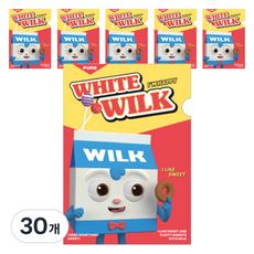 브레드이발소 L홀더 파일, 윌크, 30개