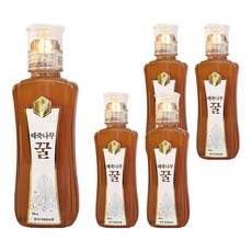 韓國養蜂 齊墩果樹蜜, 500g, 5個