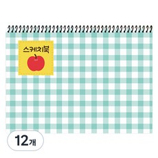 DGRM 대용량 스케치북 130g 랜덤발송, 8절, 12개, 36매