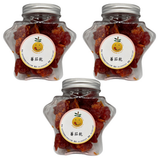 蕃茄乾200g罐-天然健康零食 獨立罐裝方便攜帶 辦公室/野餐/露營皆宜, 200g, 3罐