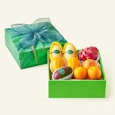 온브릭스 과일 6종 선물세트 민트 1호 2.89kg 고급보자기 포함, 1세트