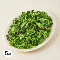 국내산 친환경 어린잎 채소, 150g, 5개
