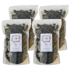 나물투데이 국내산 건취나물, 100g, 4개