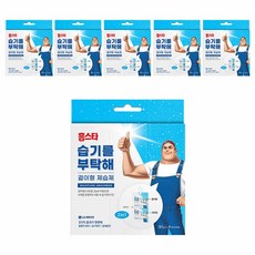 홈스타 습기를 부탁해 걸이형 제습제 본품, 30g, 24개