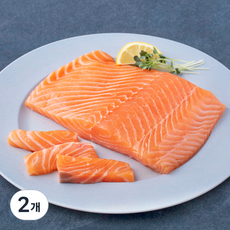 모위 스코틀랜드산 프리미엄 생연어 횟감용 (냉장), 2개, 500g