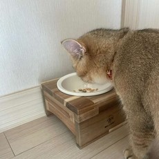 BELLEPETHOME 寵物手工實木餐具1件套陶瓷12cm, 1套, 混合顏色