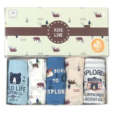 키즈라인 남아용 와일드 삼각팬티 5매입 세트