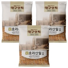 대구상회 호라산밀, 2kg, 3개