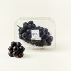 올푸릇 저탄소 거봉, 500g, 1개
