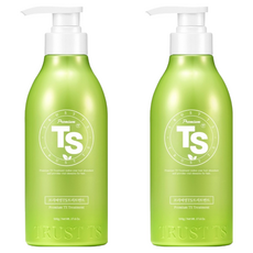 TS 프리미엄 트리트먼트, 500ml, 2개
