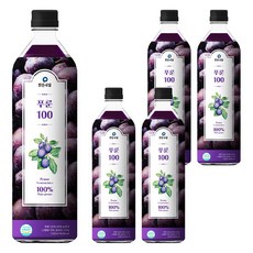 Malgeunnail 李子汁, 5瓶, 1L