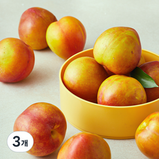 이로운 군위 당도선별 후무사 자두, 3개, 1.2kg(대)